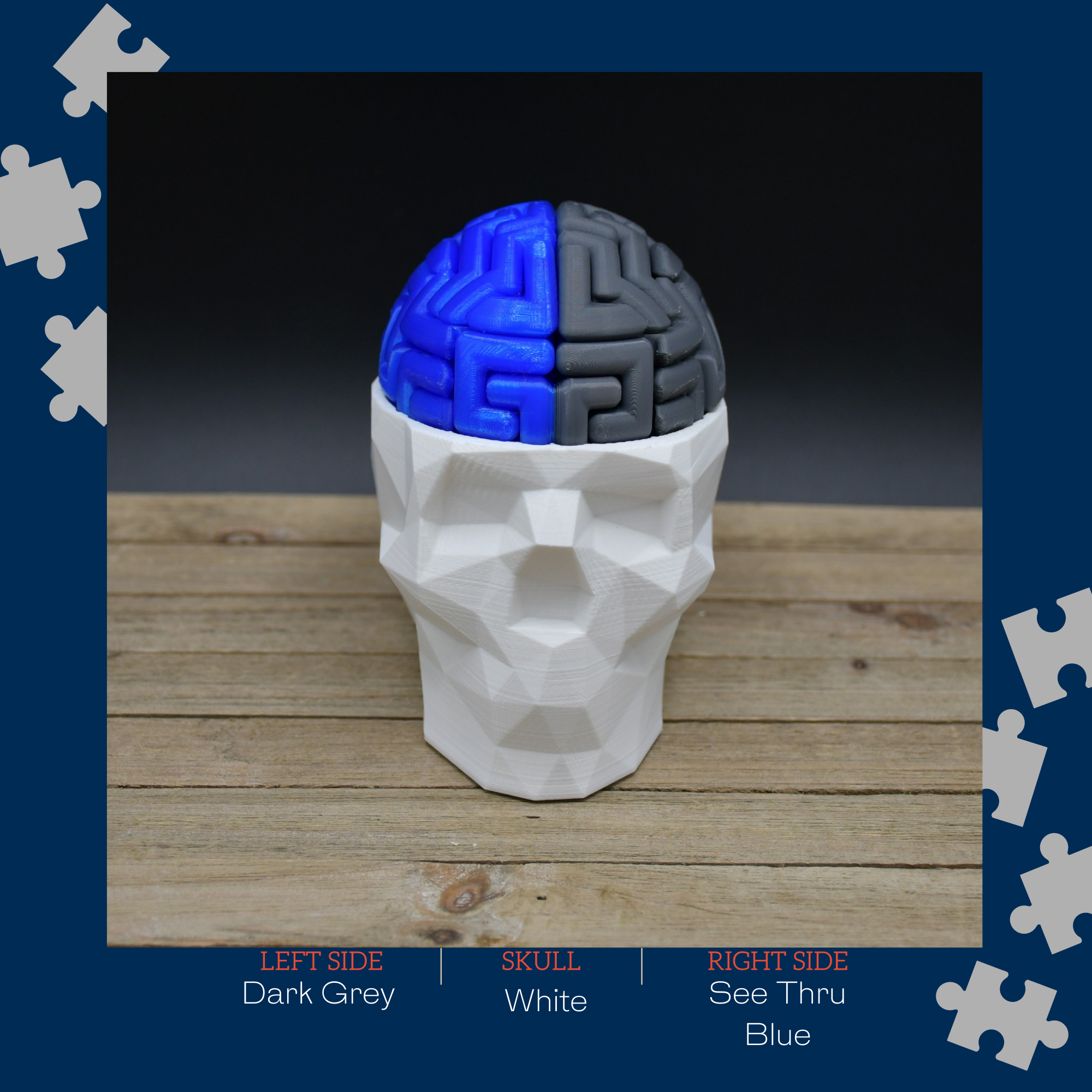 3D Brain Puzzle / 3D 🧠 Puzzle 28 Left Brain Pieces & 28 Right